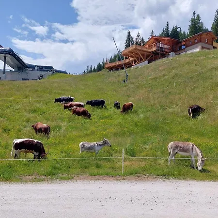 Alpesi faház Vierlauchen